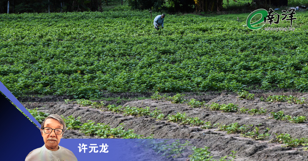 农民明天会更好?/许元龙